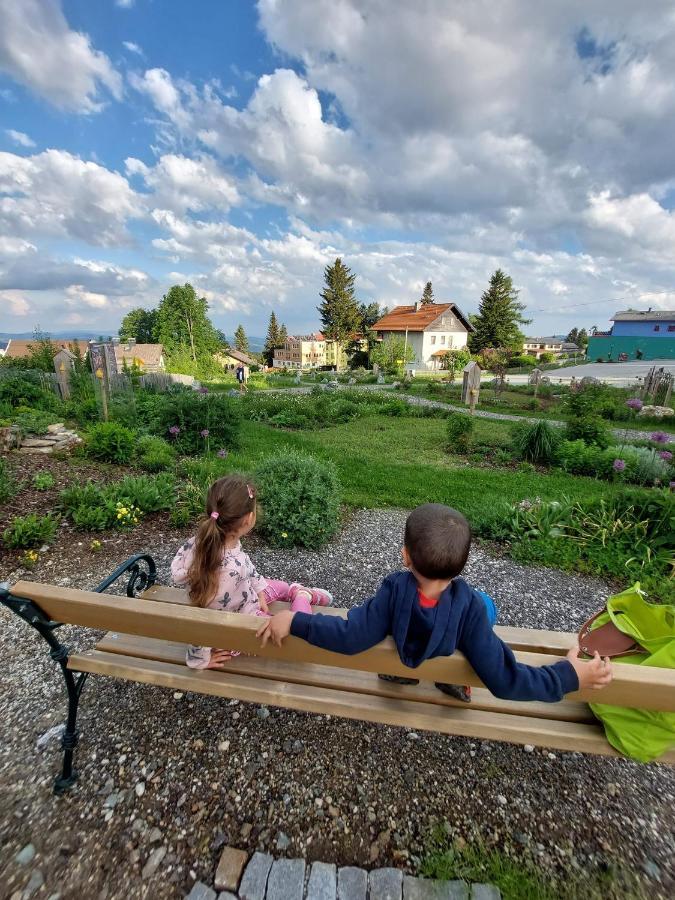 Mönichkirchen Wald-Panorama-Zimmer Bed & Breakfast エクステリア 写真