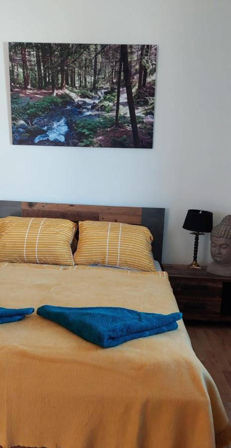 Mönichkirchen Wald-Panorama-Zimmer Bed & Breakfast エクステリア 写真