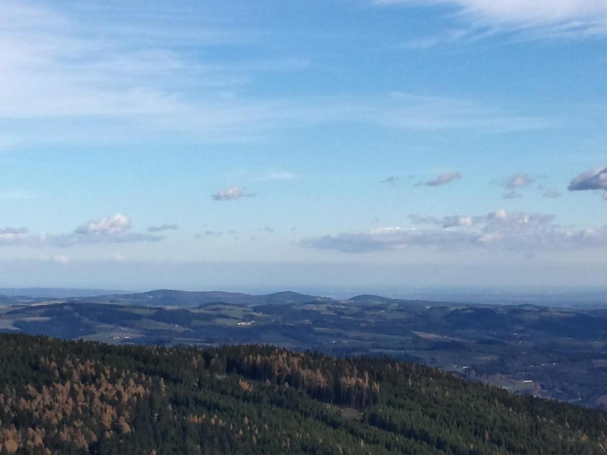 Mönichkirchen Wald-Panorama-Zimmer Bed & Breakfast エクステリア 写真