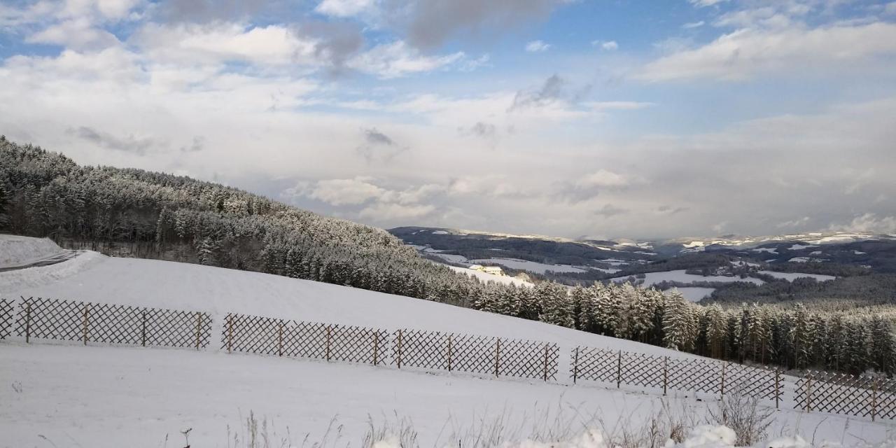 Mönichkirchen Wald-Panorama-Zimmer Bed & Breakfast エクステリア 写真