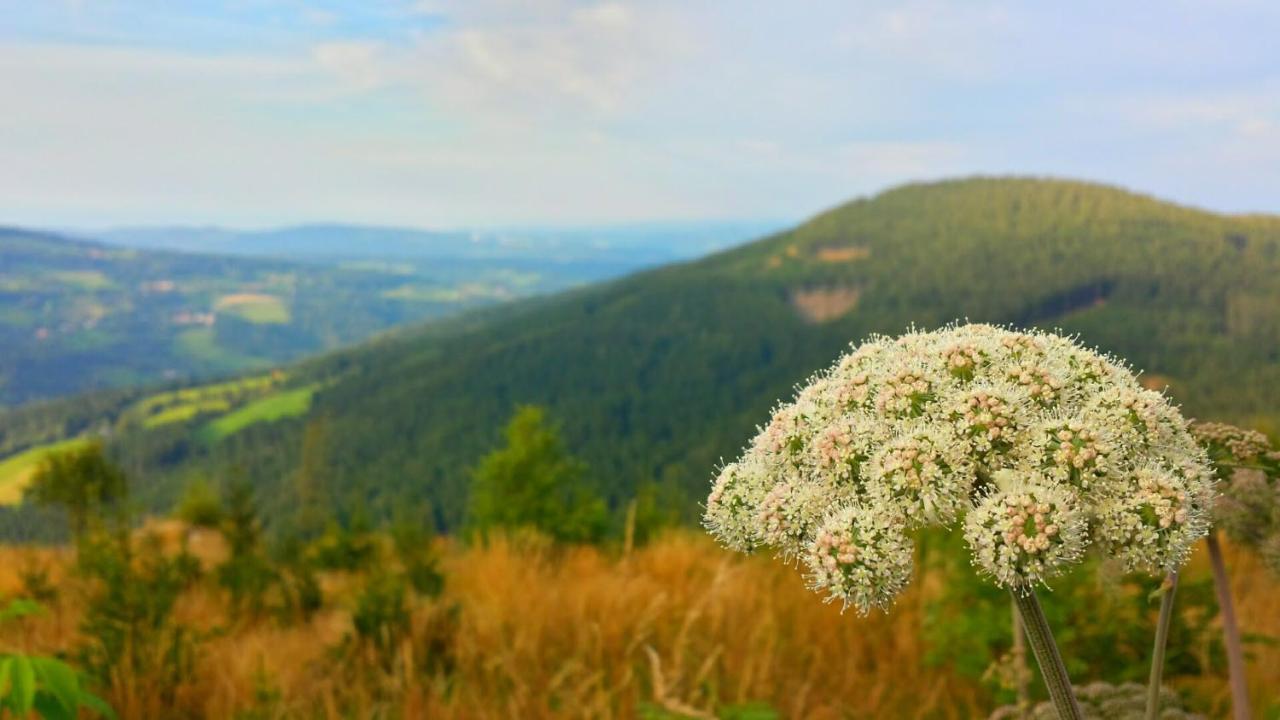 Mönichkirchen Wald-Panorama-Zimmer Bed & Breakfast エクステリア 写真