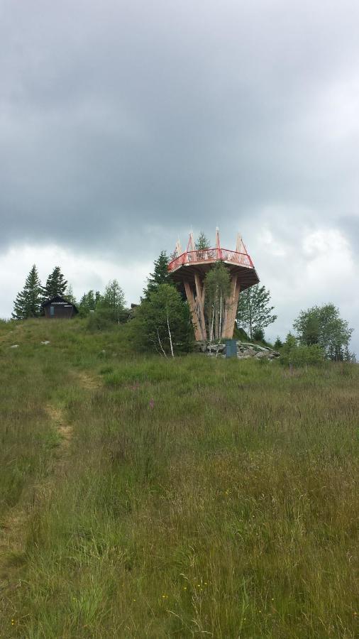 Mönichkirchen Wald-Panorama-Zimmer Bed & Breakfast エクステリア 写真